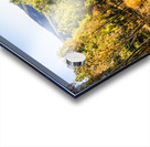 Rural Route Acrylic print