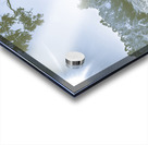 Barren Winterscape Acrylic print