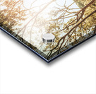 Valley Ridge Road Acrylic print