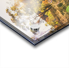 Flares And Fades Acrylic print