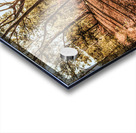 Upcountry Ridgeline Acrylic print