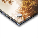 Sunflare Thoroughfare  Acrylic print