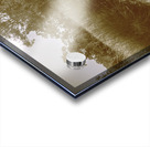 Tessellated Trail Acrylic print