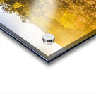 Awash In Sundown Acrylic print