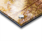 Afternoons Afterglow Acrylic print