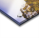 Sunflare Valley Views Acrylic print