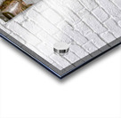 Stowaways Acrylic print