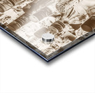 Collectipples Acrylic print