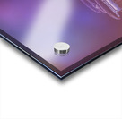 Doughnut Kings Acrylic print