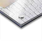 Donut Duo Acrylic print