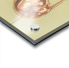 Party Tricks Acrylic print