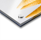 Parlour Tricks Acrylic print