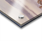 Wooded Fog Acrylic print