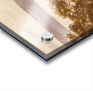 Misty Wonders Acrylic print