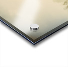 Cow Country Acrylic print