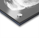 Bushy Smile Acrylic print