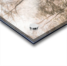 Harmonious Fades Acrylic print