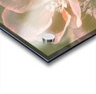 Geranium Wash Acrylic print