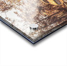 Double Trouble Acrylic print