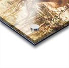 Forest Deer Acrylic print