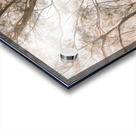 Calm Subtleties Acrylic print