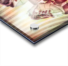 Roller Circus Acrylic print