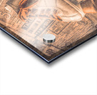 Loft Laces Acrylic print