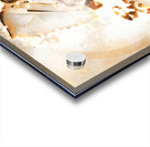 Rink of Fire Acrylic print