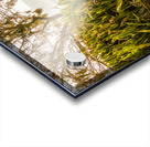 Summer Shading Acrylic print