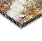 Orange Autumns By The Sea Acrylic print