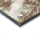 Bargara Queensland Australia Acrylic print