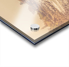 Ocean Afternoons Acrylic print