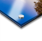 Paradise Pastel Acrylic print