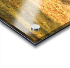 Australian Lawn Mower Acrylic print