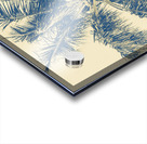 The Fronds Acrylic print