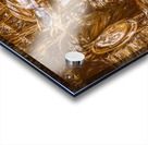 Farm Rust Acrylic print