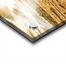 Golden Light Acrylic print