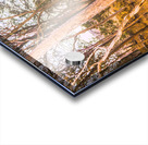 Hillside Quietude Acrylic print