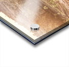 Country Harmony Acrylic print