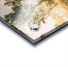 Meadow Meandering Acrylic print