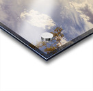 Bleached Country Vertices Acrylic print