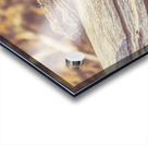 Outback Afternoons Acrylic print