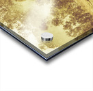 Black Horse Creek Windmill Acrylic print