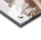 Pacified Paddock Acrylic print