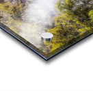 The Fog And The Forest Acrylic print