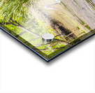 Ban Ban Springs Acrylic print