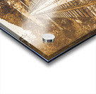 Rusty Rail Acrylic print