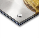 Golden Grasslands Acrylic print