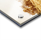 Sun Dipped Acrylic print