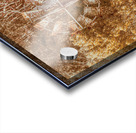 Pioneering Country Acrylic print